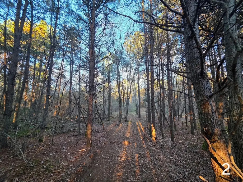 0 Cherokee Co Road 53 Cedar Bluff AL 35959