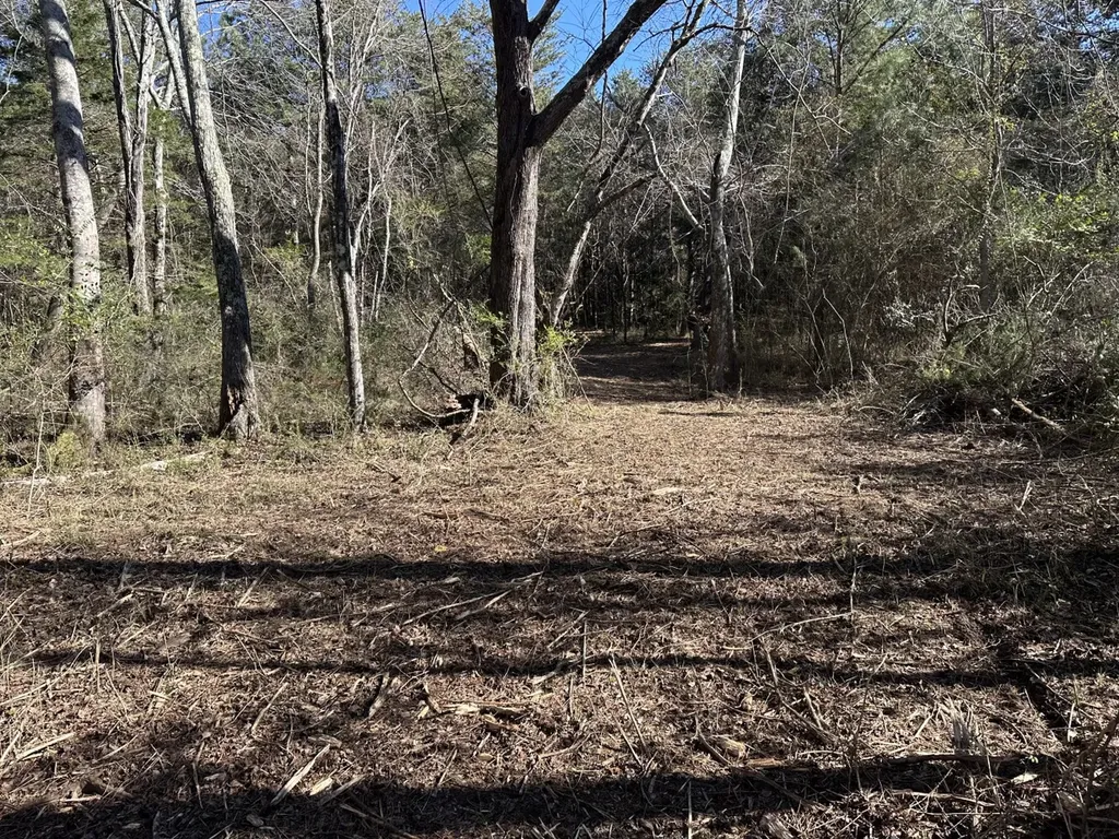 0 Cherokee Co Road 53 Cedar Bluff AL 35959