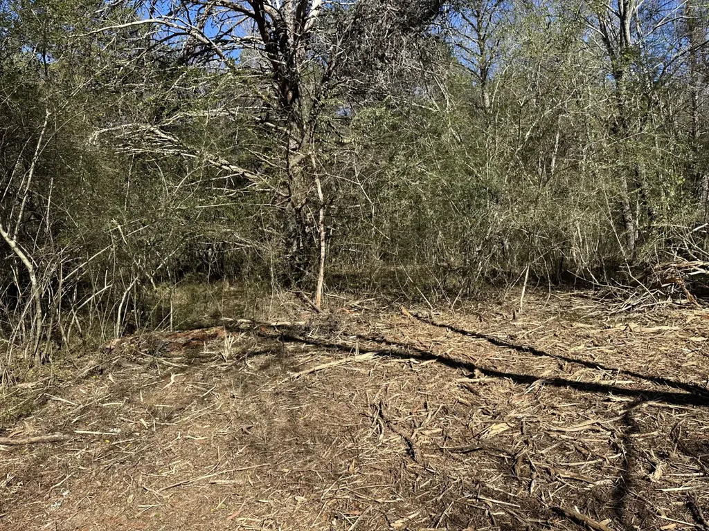 0 Cherokee Co Road 53 Cedar Bluff AL 35959