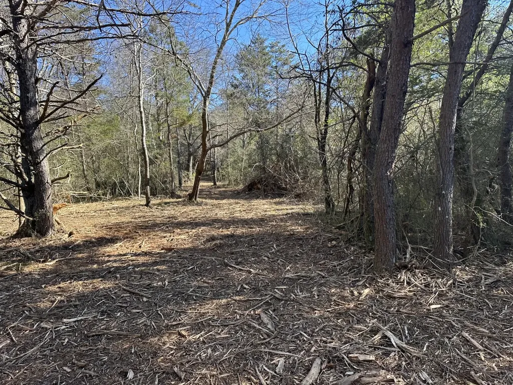 0 Cherokee Co Road 53 Cedar Bluff AL 35959