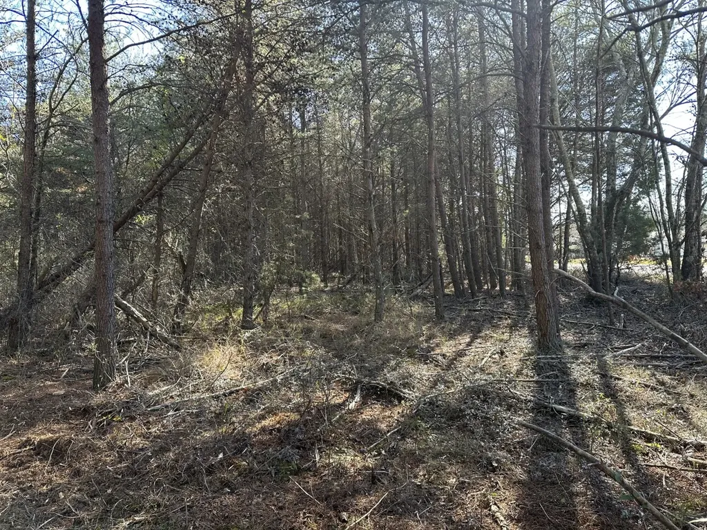 0 Cherokee Co Road 53 Cedar Bluff AL 35959