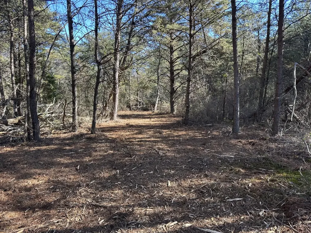 0 Cherokee Co Road 53 Cedar Bluff AL 35959