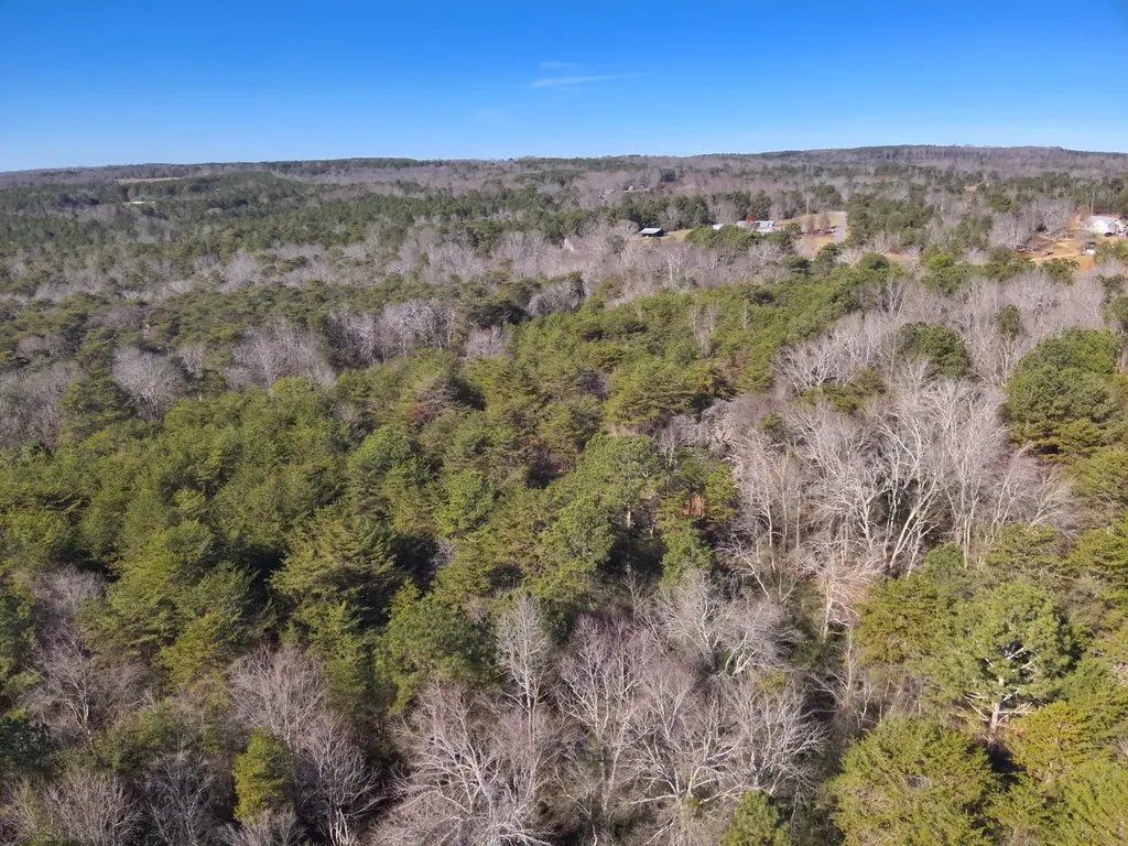 0 Cherokee Co Road 53 Cedar Bluff AL 35959