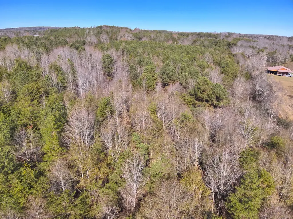 0 Cherokee Co Road 53 Cedar Bluff AL 35959