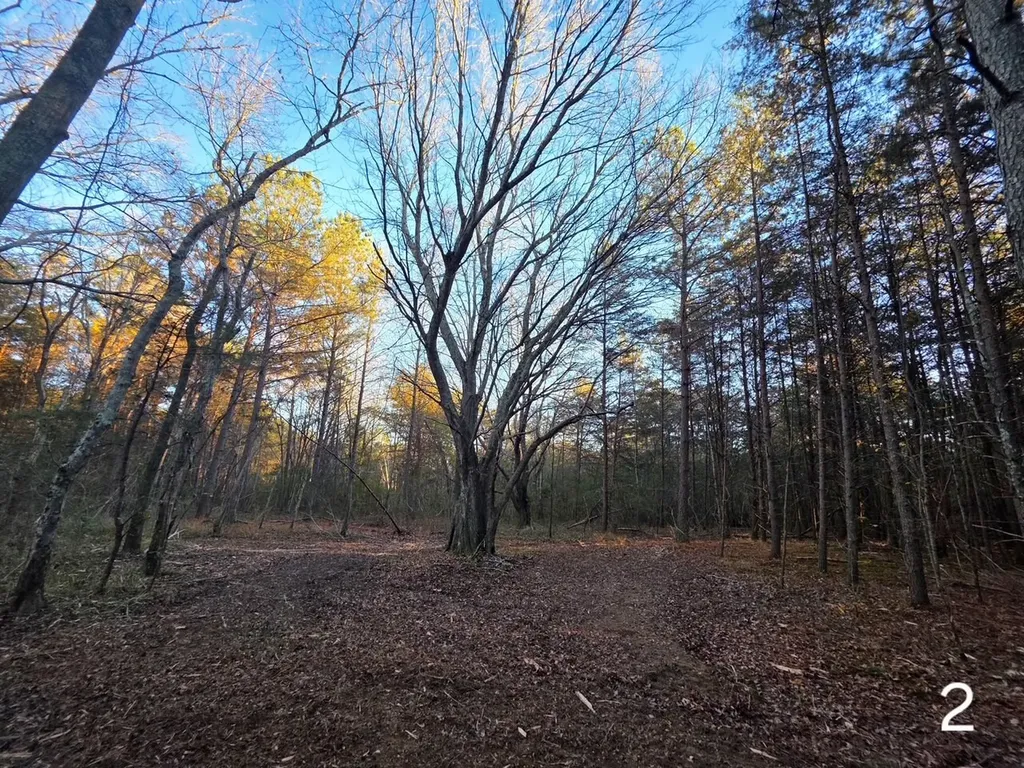 0 Cherokee Co Road 53 Cedar Bluff AL 35959