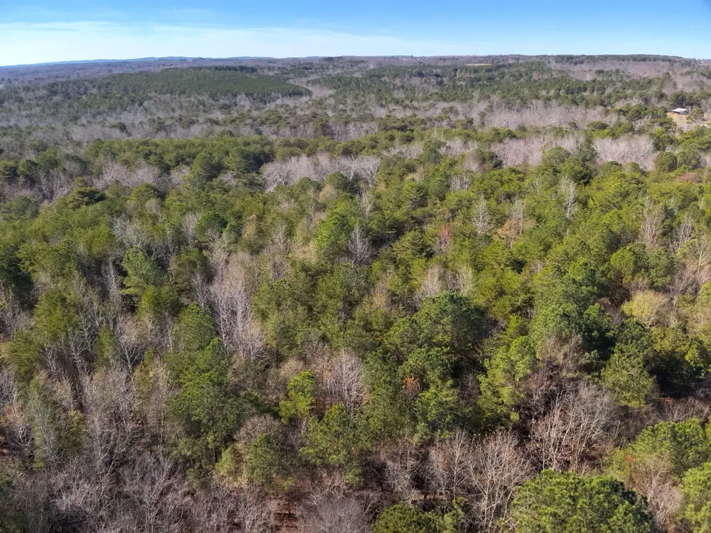 0 Cherokee Co Road 53 Cedar Bluff AL 35959