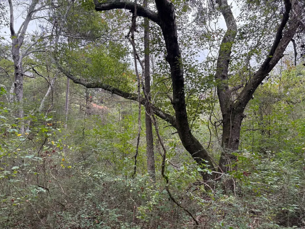 0 Cherokee Co Road 53 Cedar Bluff AL 35959