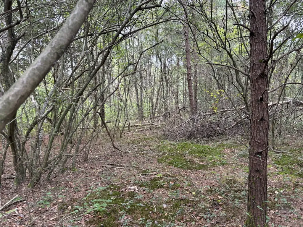 0 Cherokee Co Road 53 Cedar Bluff AL 35959