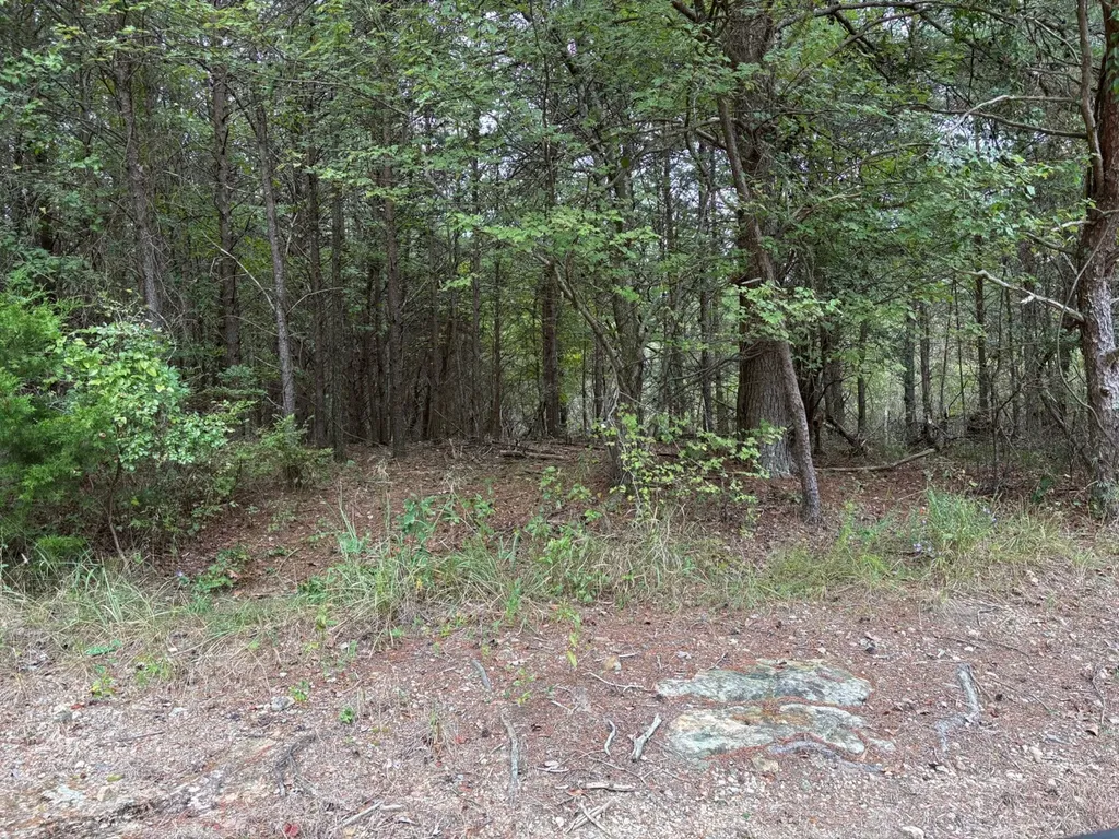 0 Cherokee Co Road 53 Cedar Bluff AL 35959