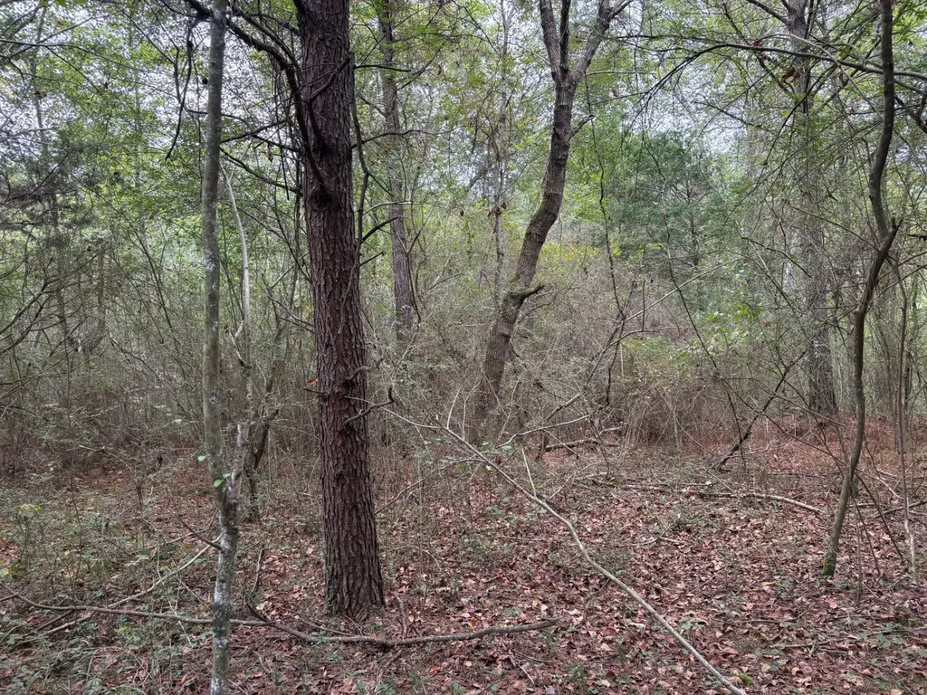 0 Co Road 52 Cedar Bluff AL 35959