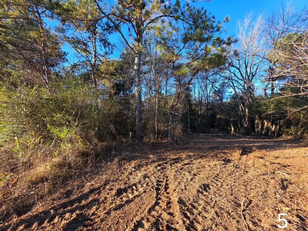 0 Co Road 52 Cedar Bluff AL 35959