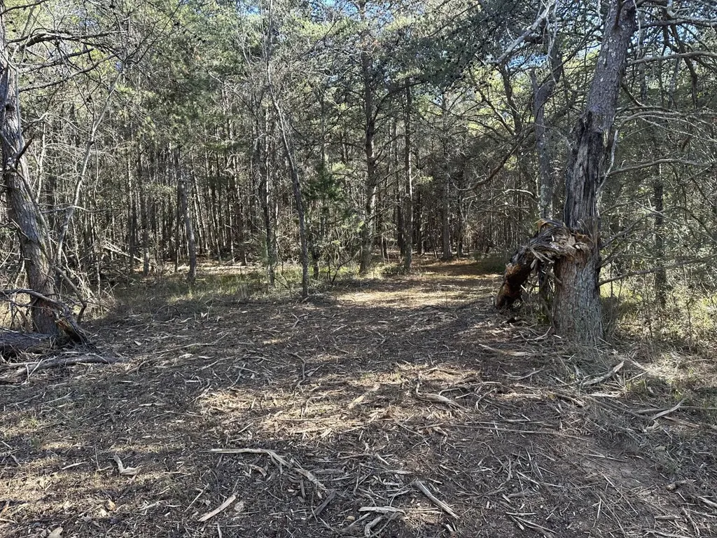 0 Co Road 52 Cedar Bluff AL 35959