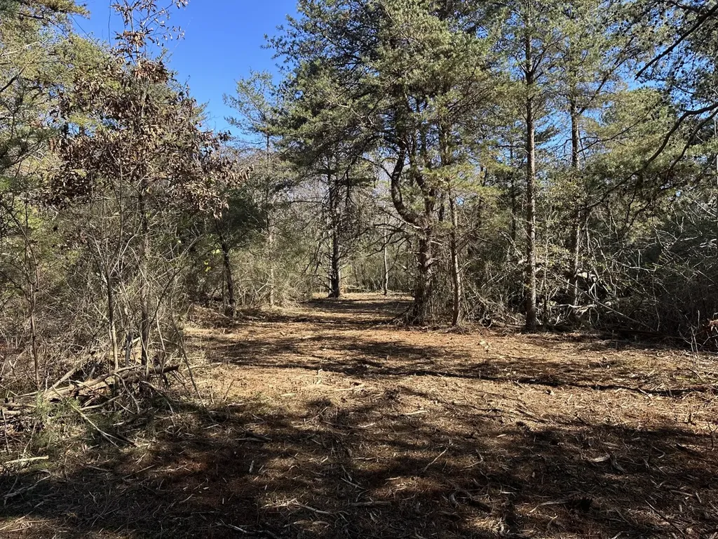 0 Co Road 52 Cedar Bluff AL 35959