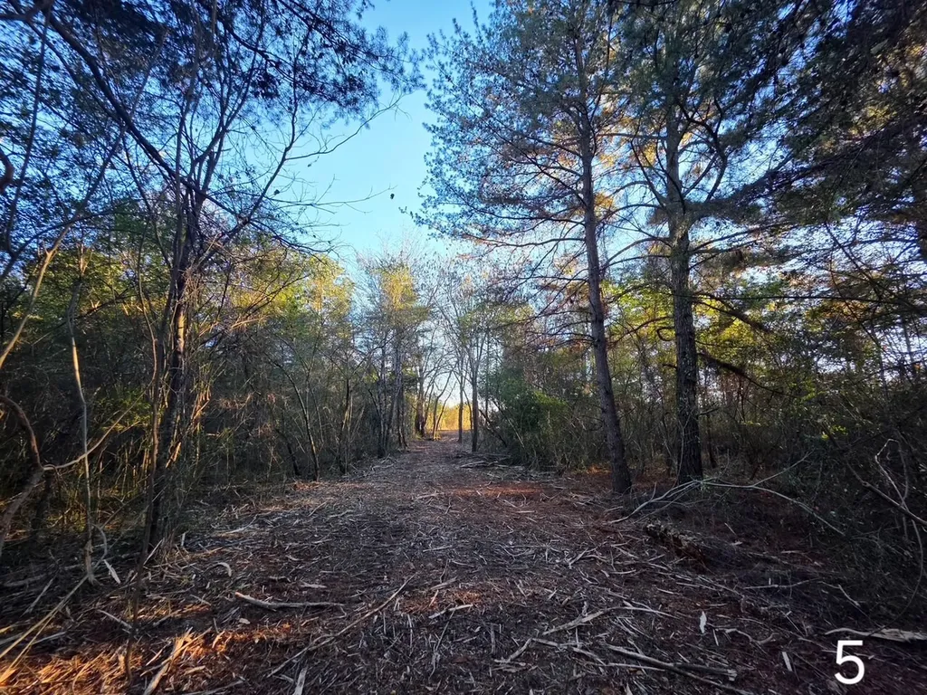 0 Co Road 52 Cedar Bluff AL 35959