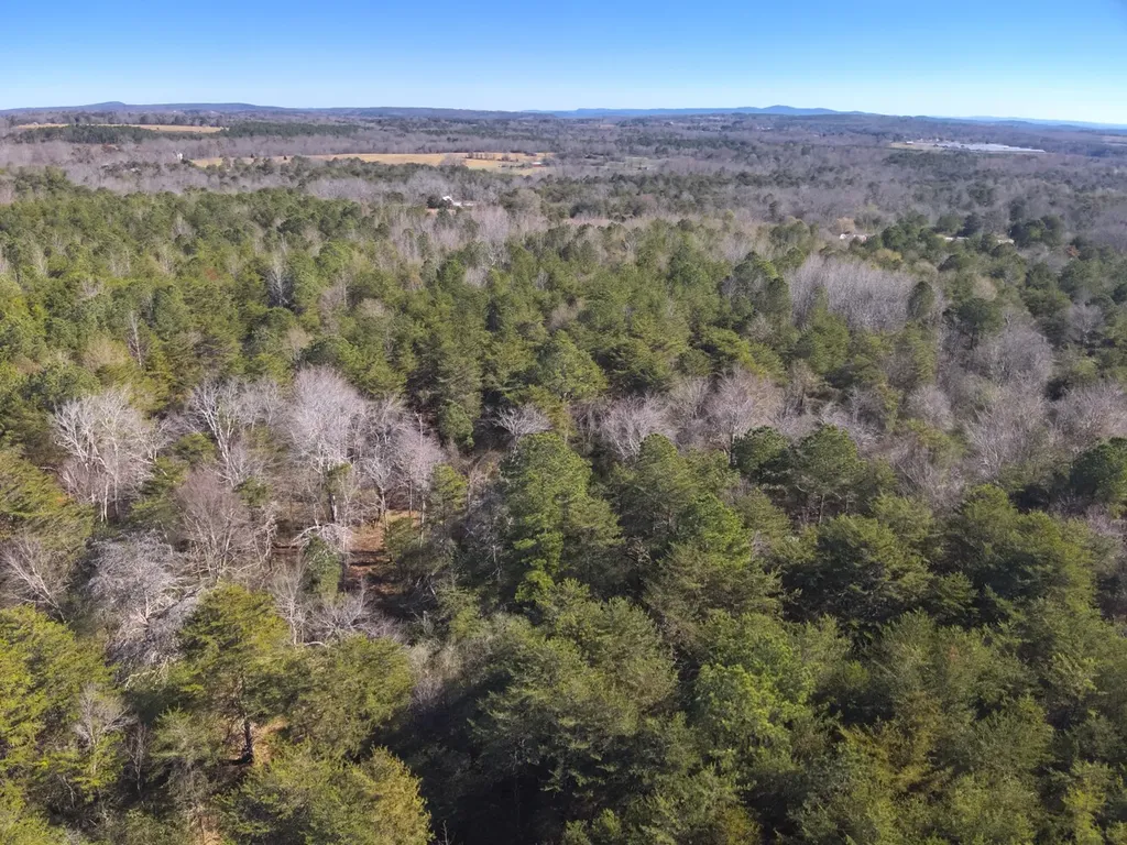 0 Co Road 52 Cedar Bluff AL 35959