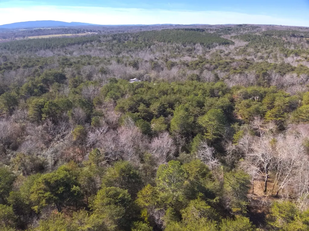 0 Co Road 52 Cedar Bluff AL 35959