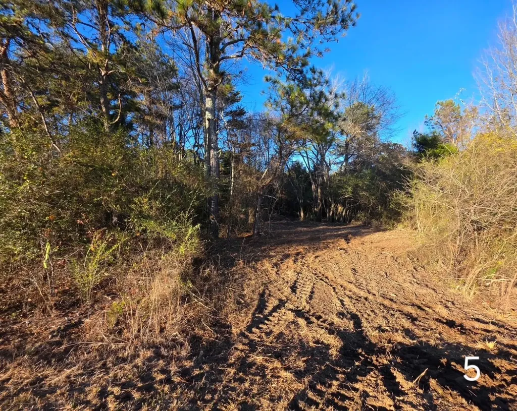 0 Co Road 52 Cedar Bluff AL 35959