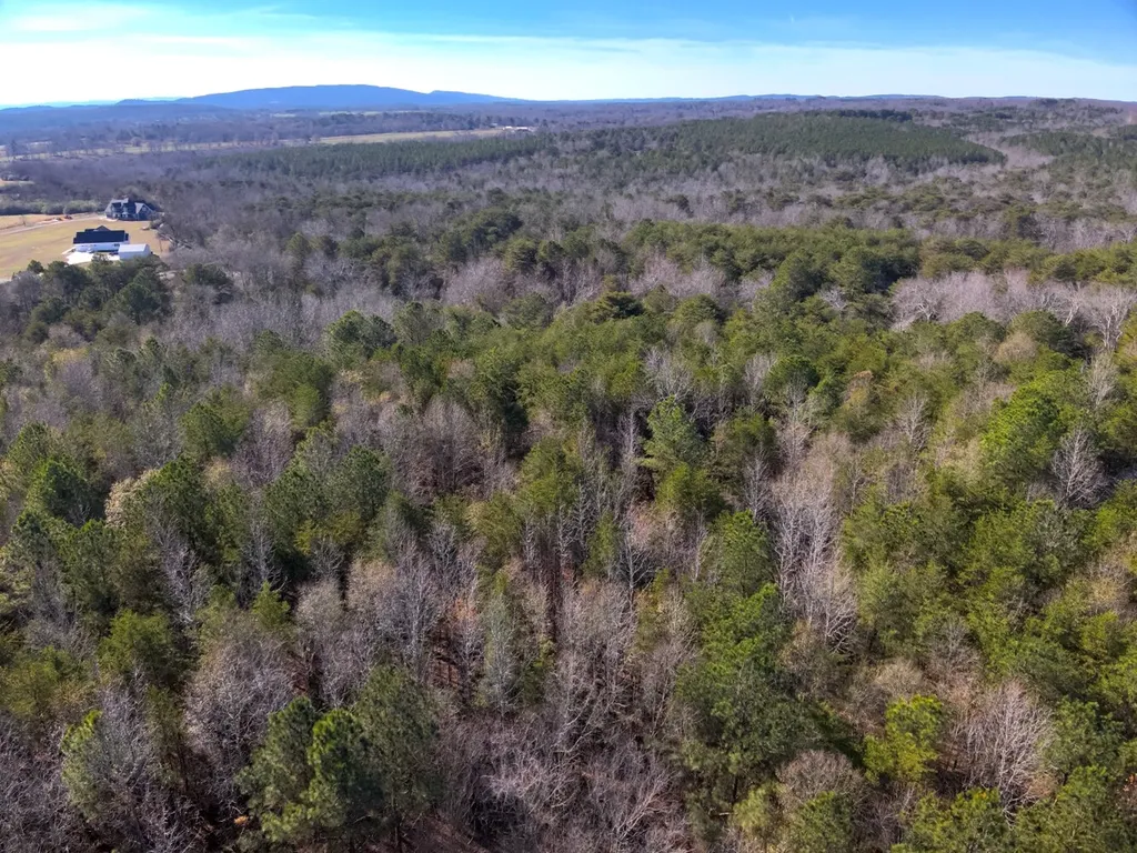 0 Co Road 52 Cedar Bluff AL 35959