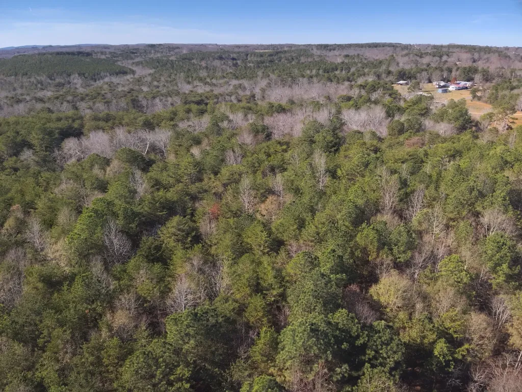 0 Co Road 52 Cedar Bluff AL 35959