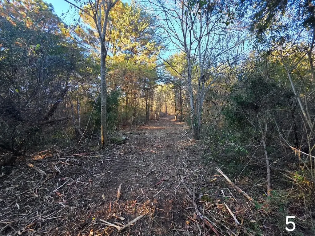 0 Co Road 52 Cedar Bluff AL 35959