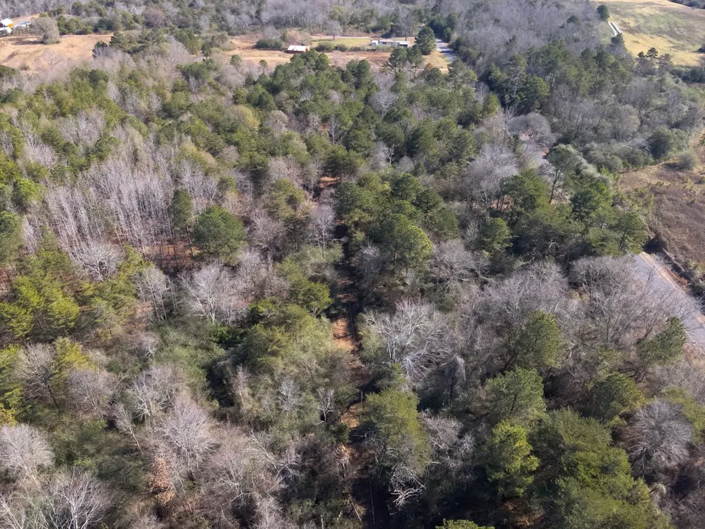 0 Co Road 52 Cedar Bluff AL 35959