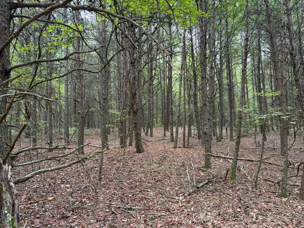 0 Co Road 52 Cedar Bluff AL 35959