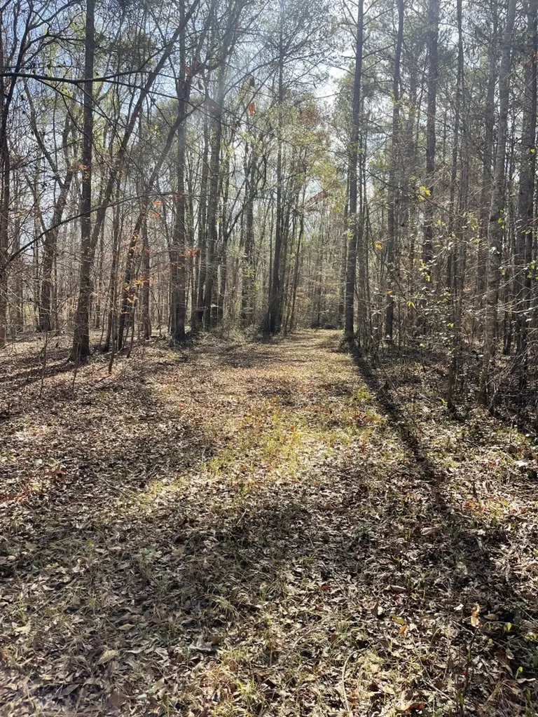 0 Jim Taylor Road, At The Retreat At River Berry AL 35546