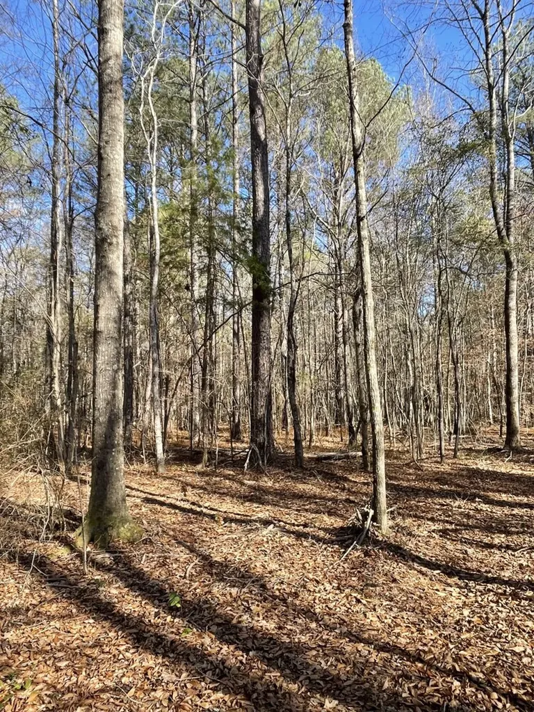 0 Jim Taylor Road, At The Retreat At River Berry AL 35546