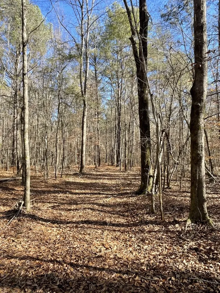 0 Jim Taylor Road, At The Retreat At River Berry AL 35546