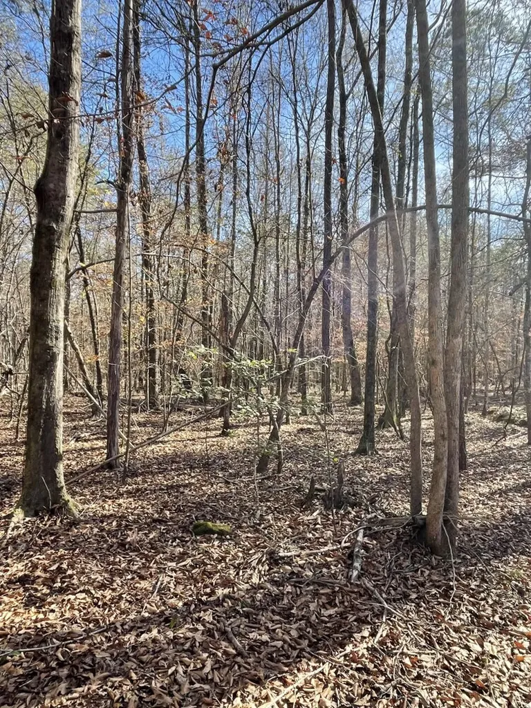 0 Jim Taylor Road, At The Retreat At River Berry AL 35546