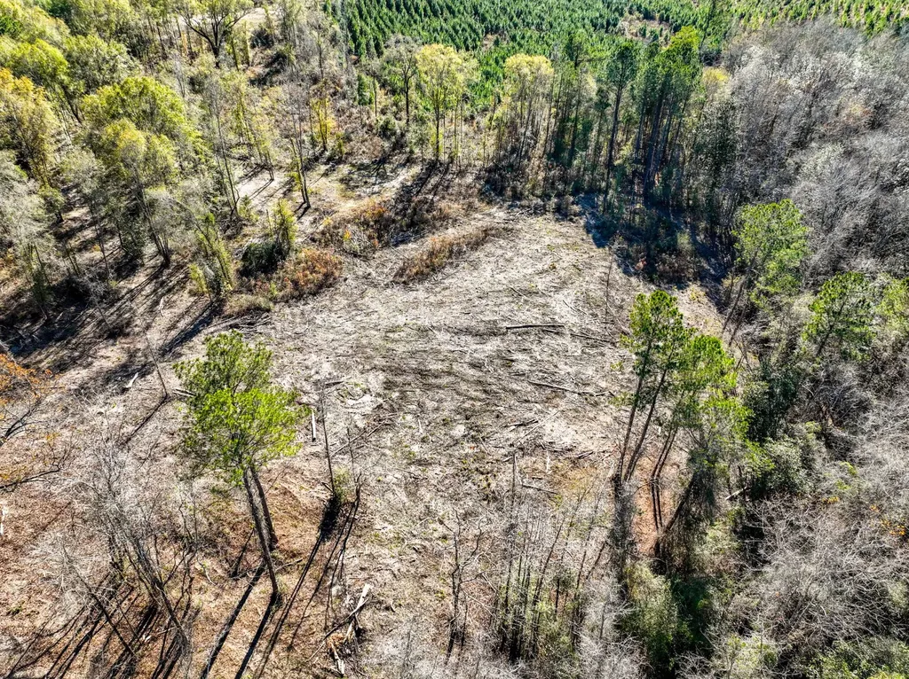 0 County Road 156 Enterprise AL 36330