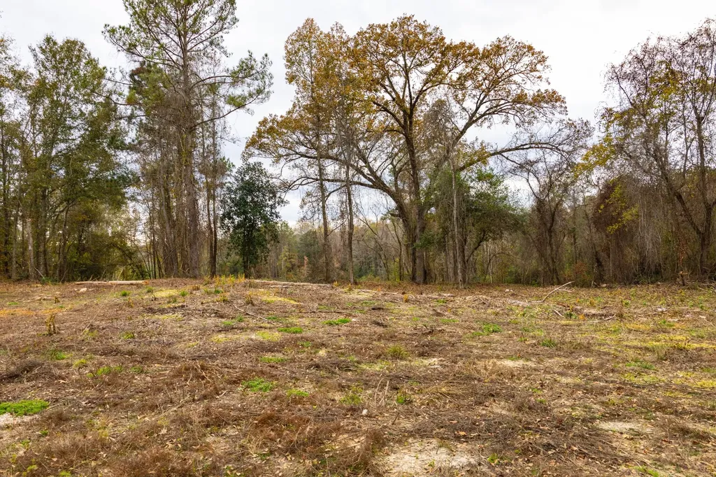 0 County Road 156 Enterprise AL 36330