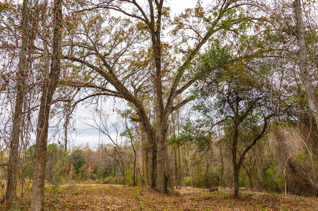 0 County Road 156 Enterprise AL 36330