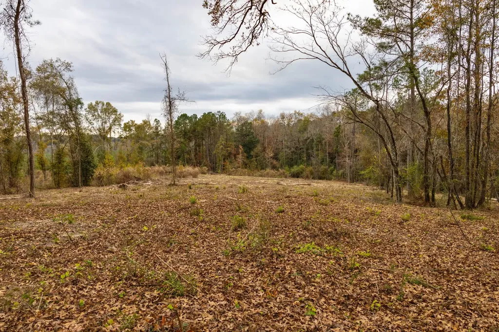 0 County Road 156 Enterprise AL 36330