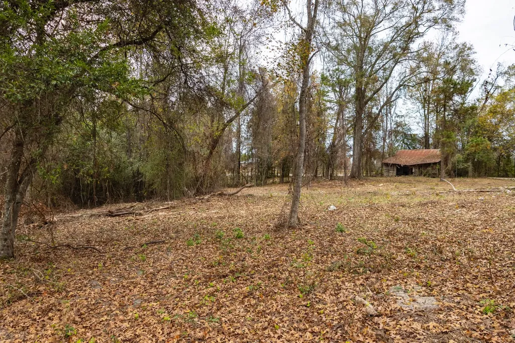 0 County Road 156 Enterprise AL 36330