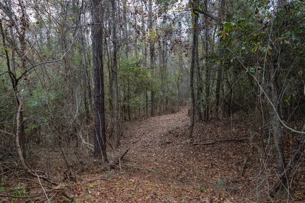 0 County Road 156 Enterprise AL 36330