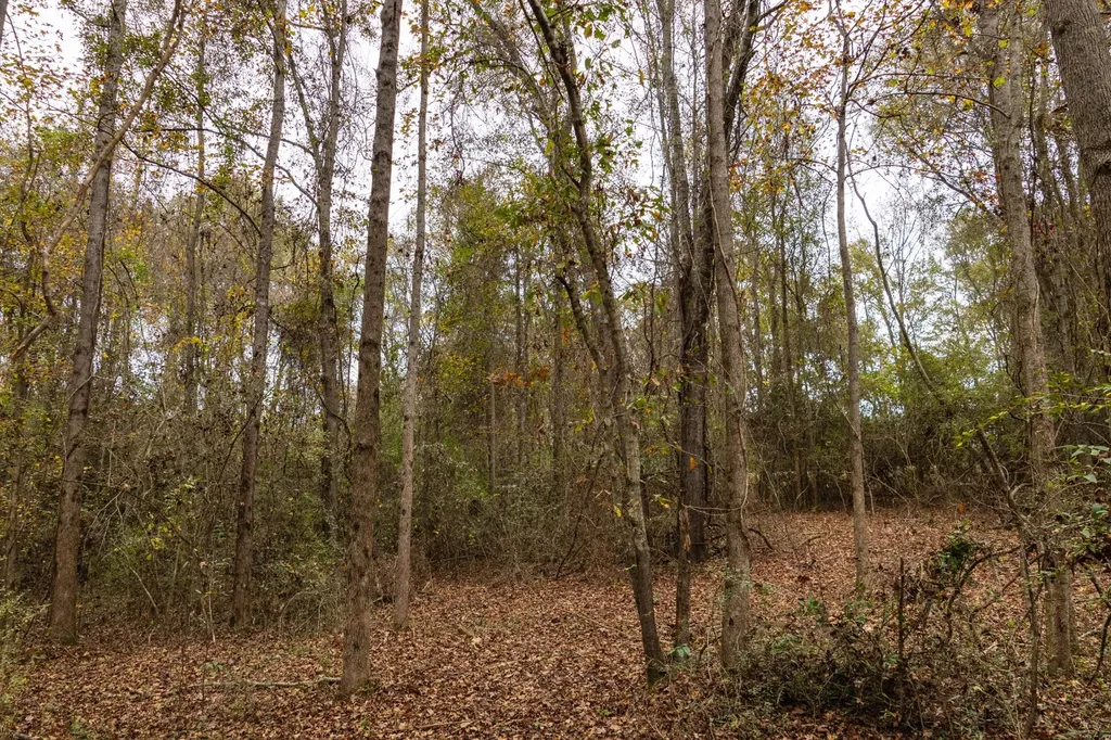 0 County Road 156 Enterprise AL 36330