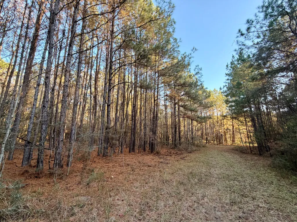 0 King Lane Bay Minette AL 36507