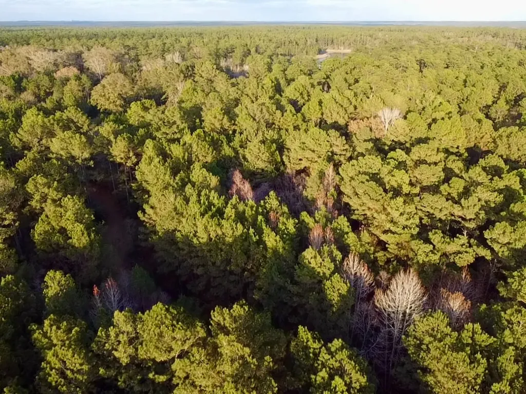 0 King Lane Bay Minette AL 36507