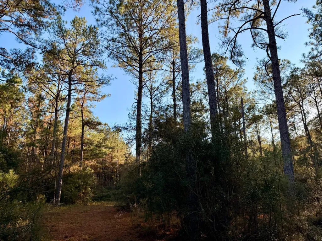 0 King Lane Bay Minette AL 36507