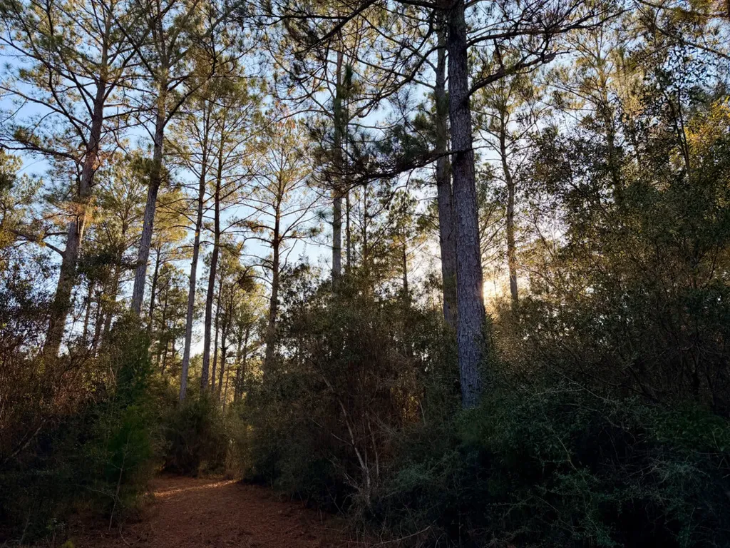 0 King Lane Bay Minette AL 36507