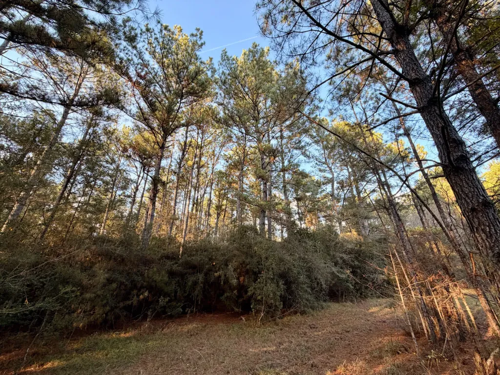 0 King Lane Bay Minette AL 36507