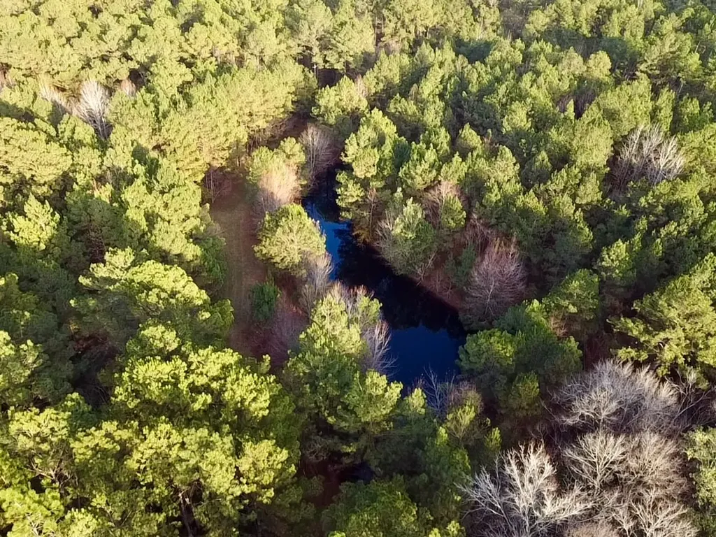 0 King Lane Bay Minette AL 36507