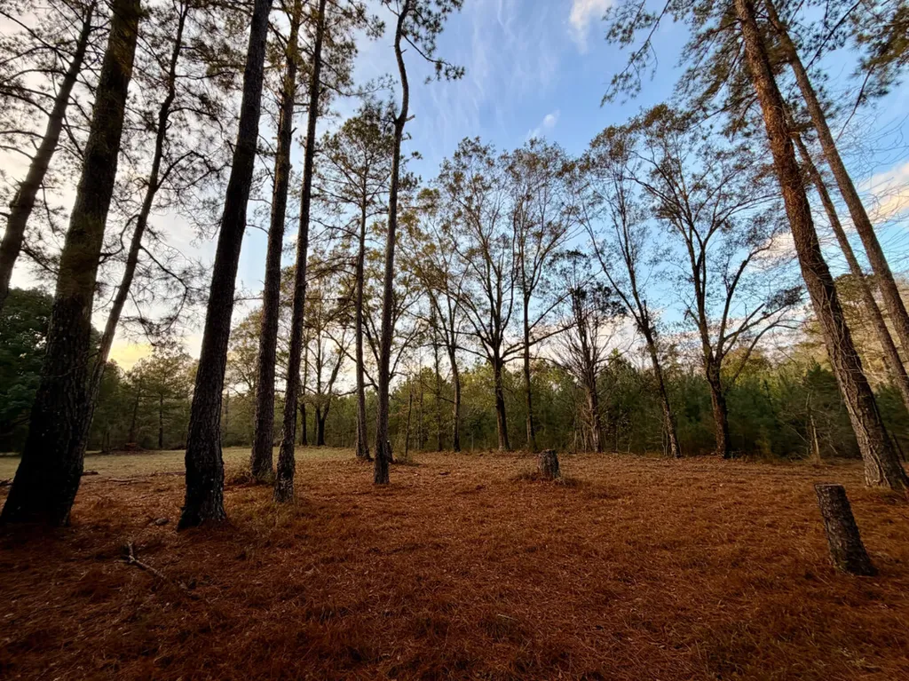 0 King Lane Bay Minette AL 36507