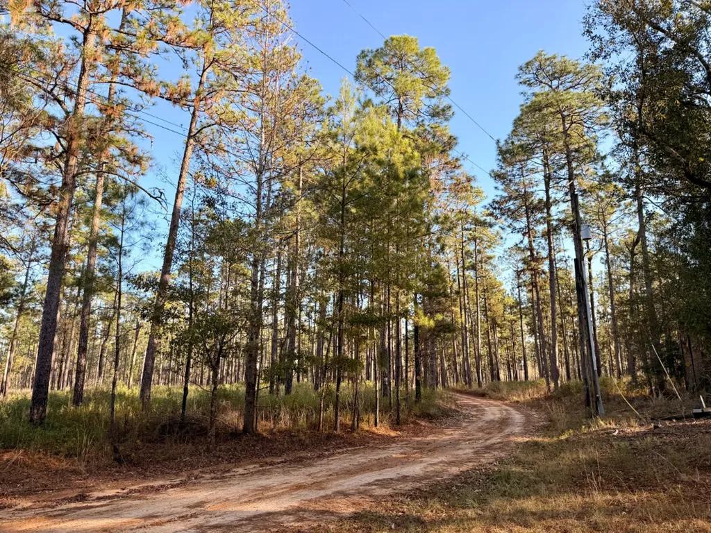 0 King Lane Bay Minette AL 36507