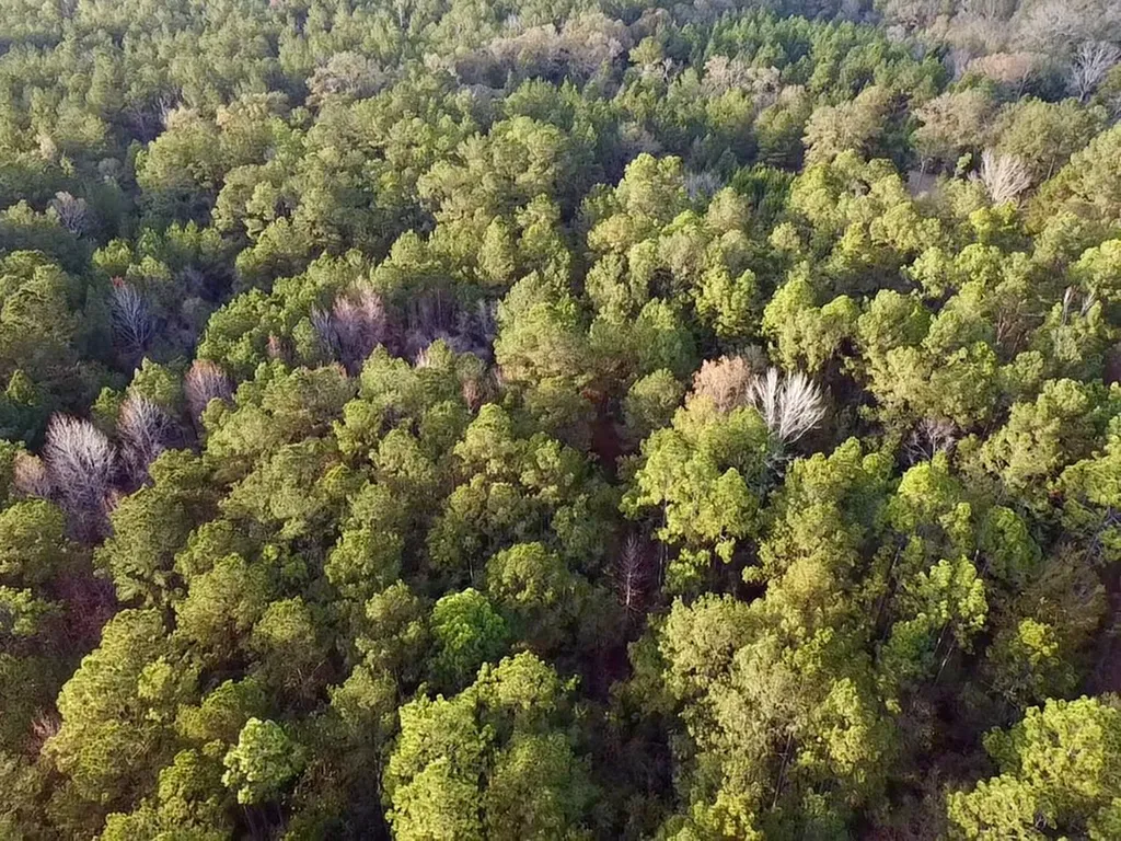 0 King Lane Bay Minette AL 36507