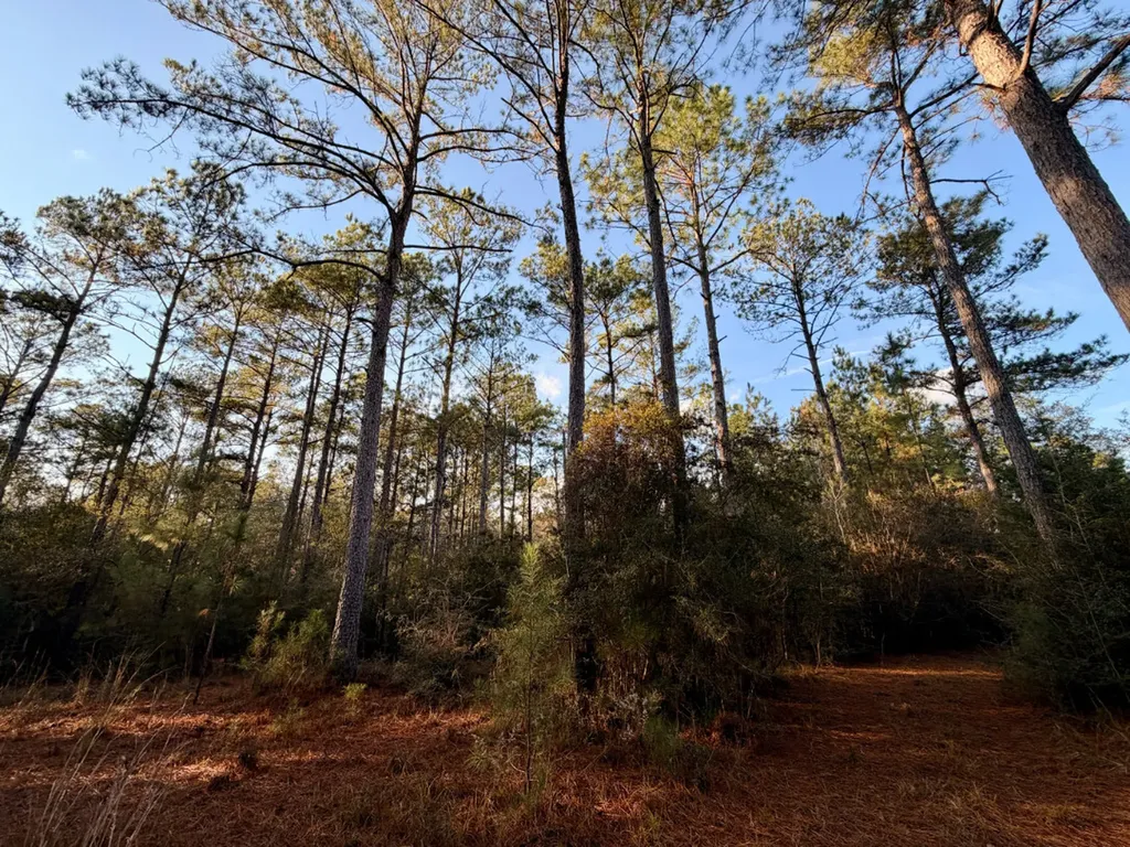 0 King Lane Bay Minette AL 36507