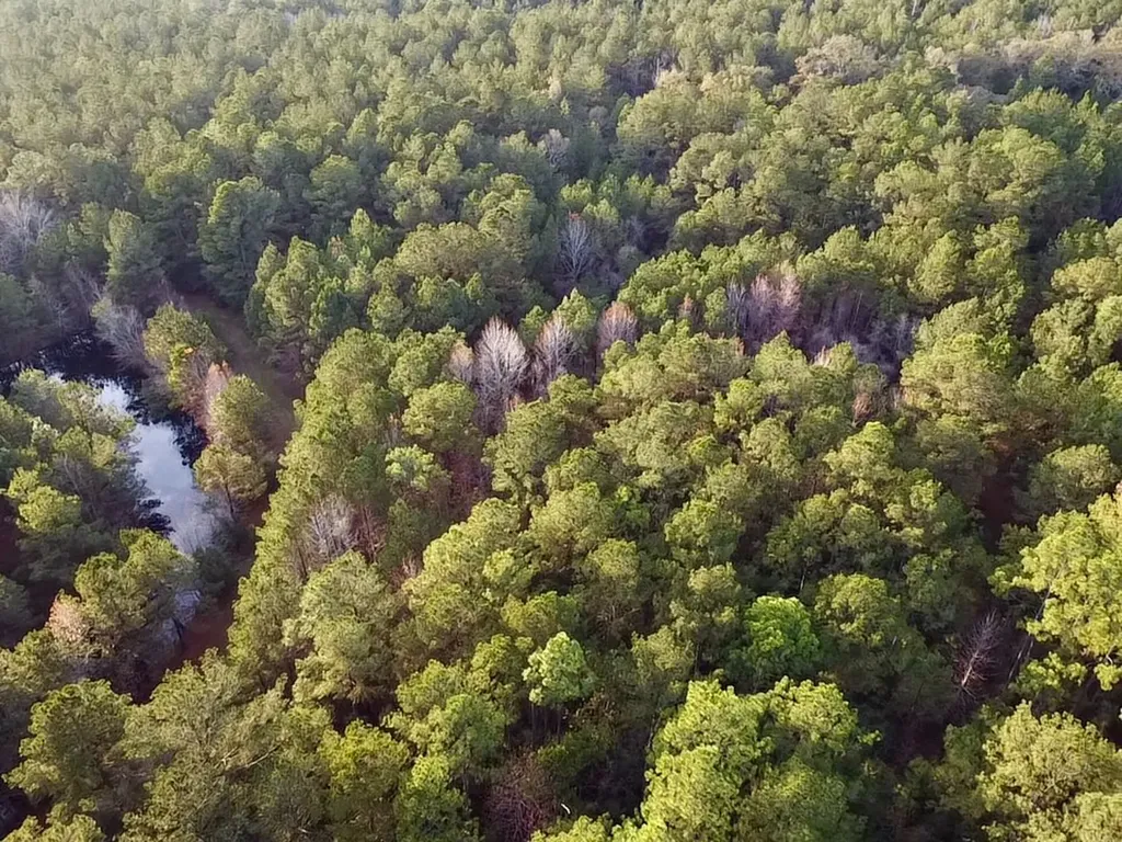0 King Lane Bay Minette AL 36507