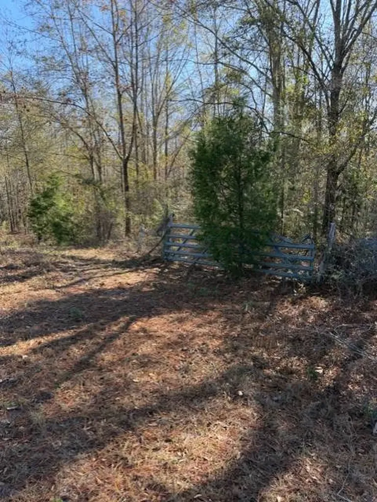 0 Bowden Road Honoraville AL 36042