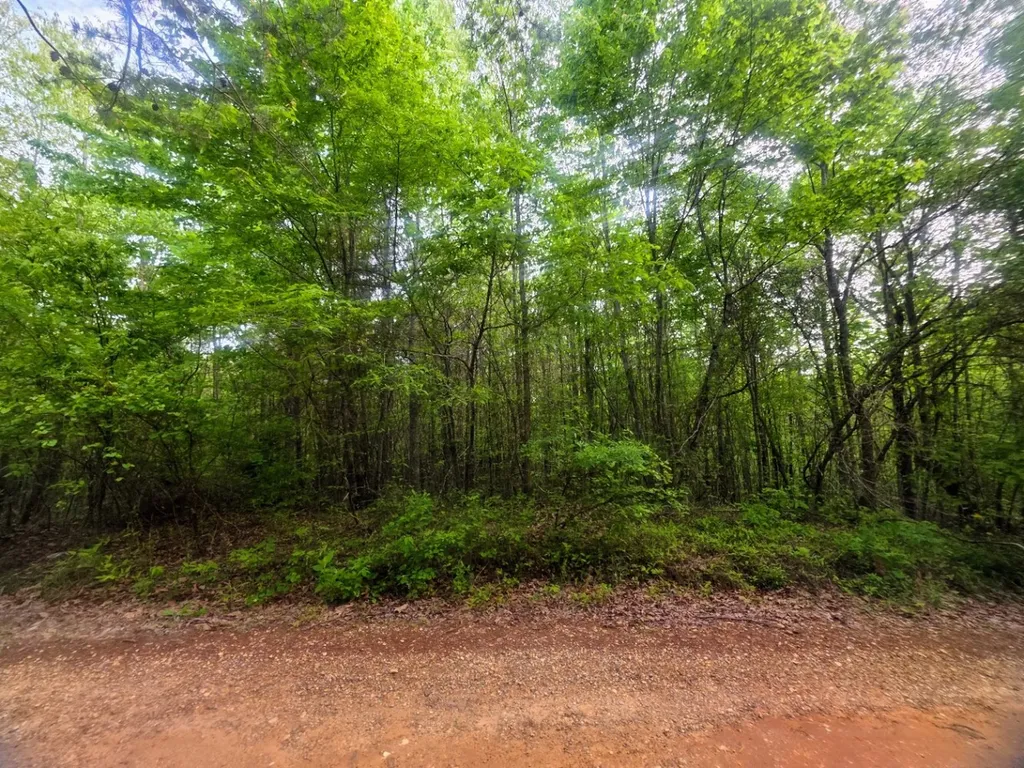 0 County Road 3022 Double Springs AL 35553